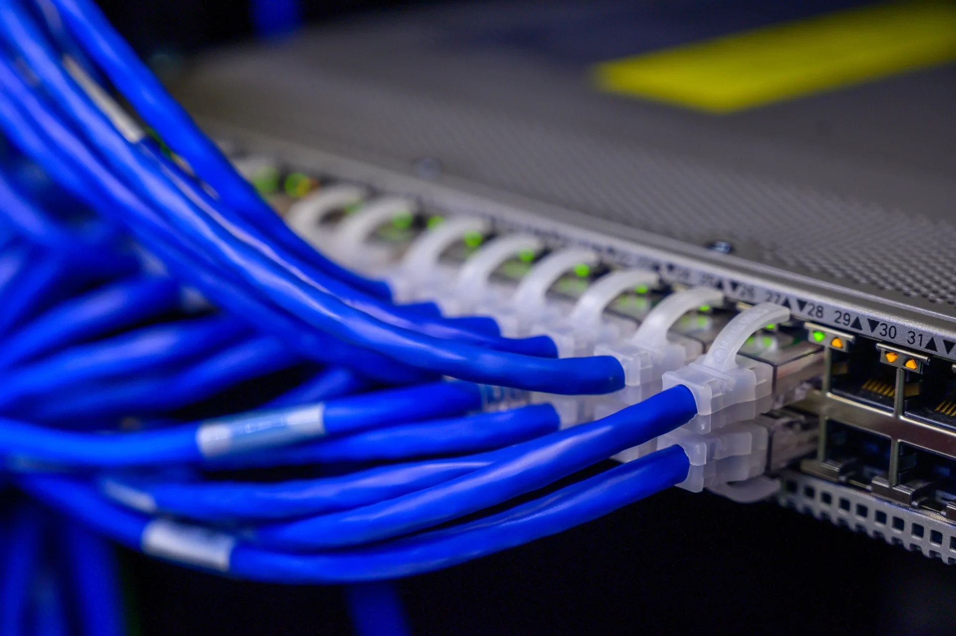 Blue network cables connected to an Ethernet switch
